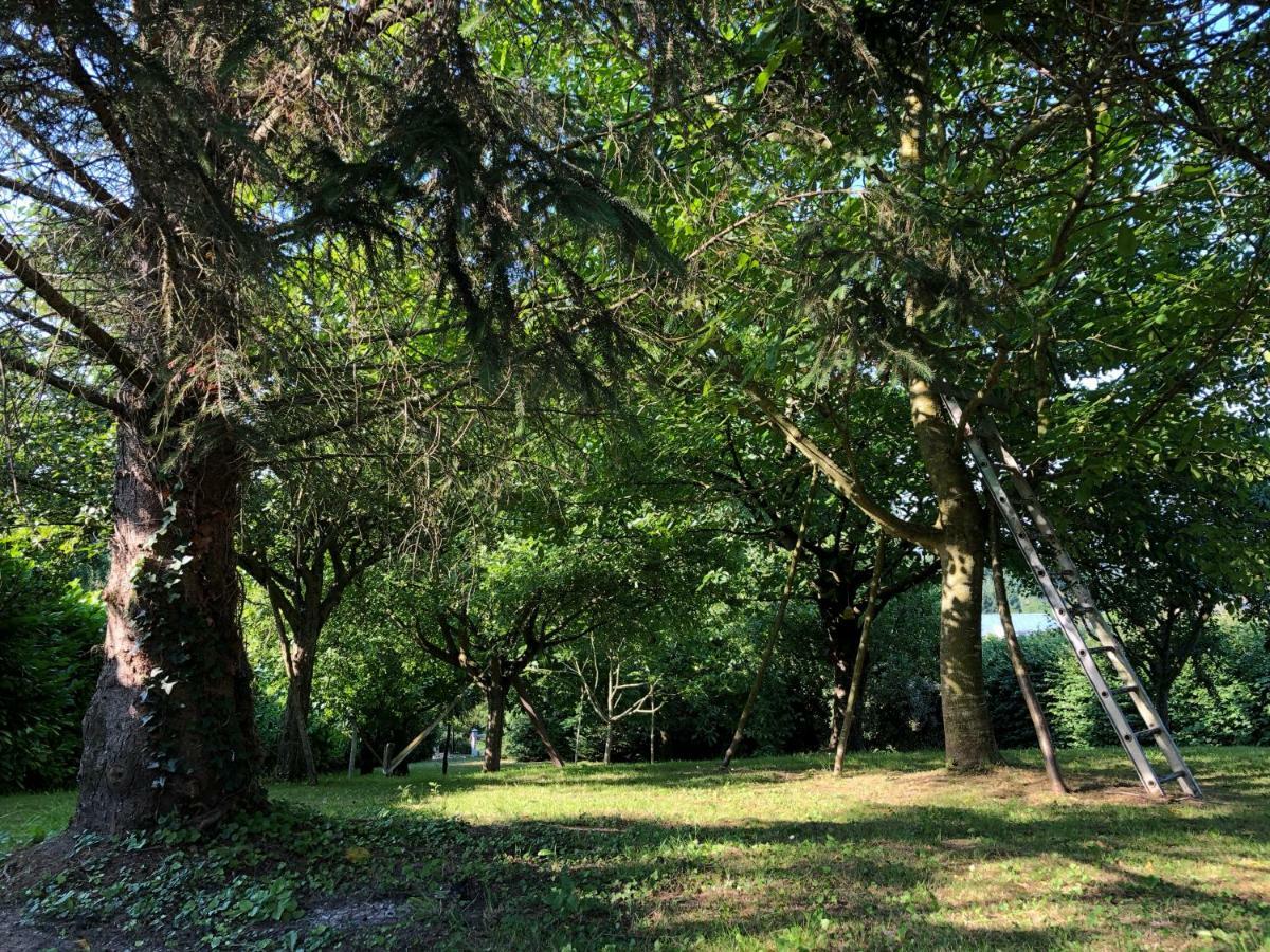 Aux Lettres Du Lavoir La Rivière-Saint-Sauveur Εξωτερικό φωτογραφία