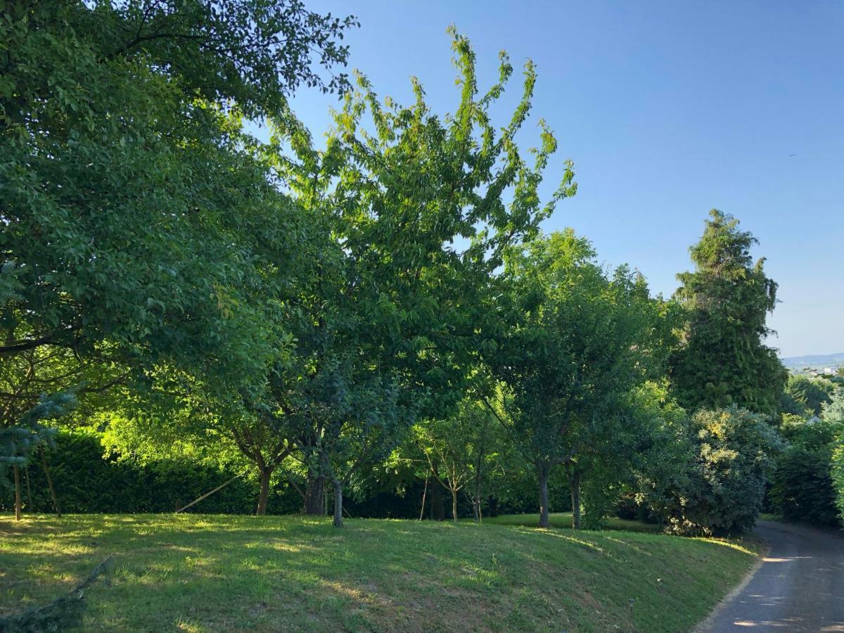 Aux Lettres Du Lavoir La Rivière-Saint-Sauveur Εξωτερικό φωτογραφία
